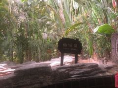 -龙达温泉生态城