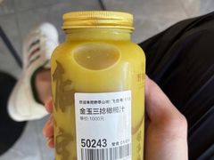 -野萃山·潮汕厚果汁(十亩地店)