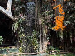 -正佳雨林生态植物园