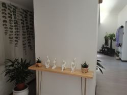 -馨媛瑜伽普拉提