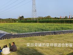 -长洲岛
