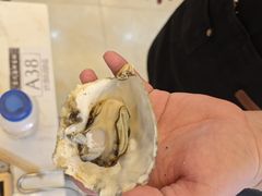 -四海蒸鲜蒸汽海鲜自助(北戴河店)