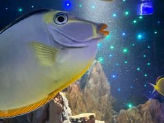 -南昌融创海世界