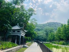 -白水寺森林公园