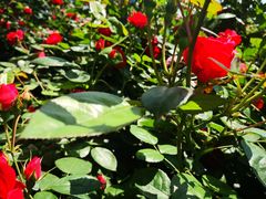 -八一南昌起义纪念塔