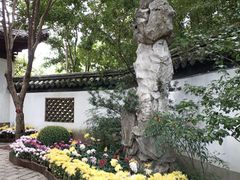 -汇龙潭