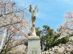 -武汉大学-樱园