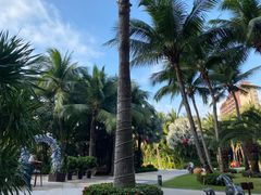 -三亚湾海居铂尔曼度假酒店