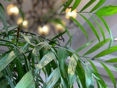 -中山路壹号传奇club·啤酒花园餐厅