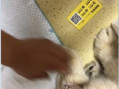 -北京佳信宠物医院