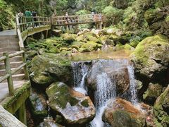-牛背梁国家森林公园