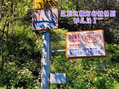 -阳台山自然风景区