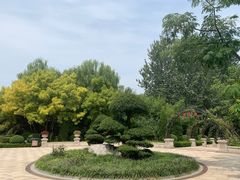 -济南植物园