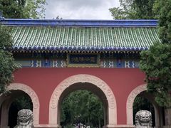 -灵谷景区