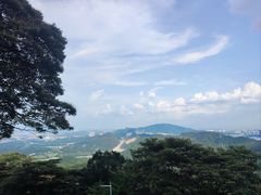 -黄埔油麻山森林公园