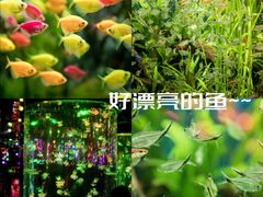 -正佳极地海洋世界