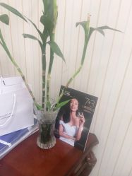 -南京医科大学友谊整形外科医院