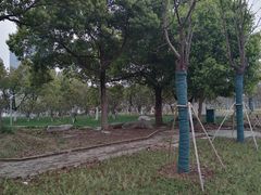 -天鹅湖体育公园