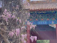 -北京国子监胡同