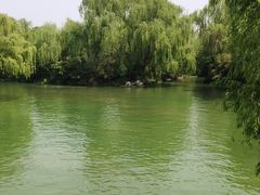 -济南大明湖景区