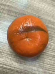 点击看大图 -韩美绣野生眉纹眉洗眉连锁店