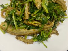 -新白家罩饼(三丰路店)