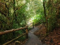 -海口火山口国家地质公园
