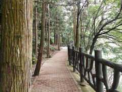 -天花井景区