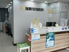 -瑞鹏宠物医院腔镜微创中心·骨科·牙科(新江湾城政芳路店)