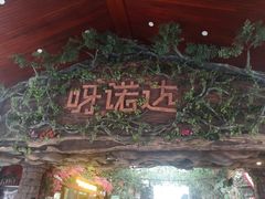-呀诺达热带雨林