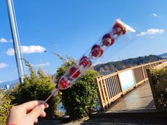 -洱海月湿地公园