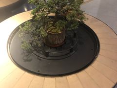 -sugarman espresso素饮糖人高新咖啡工厂
