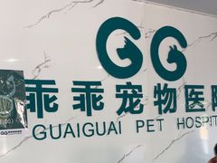 -乖乖宠物医院·猫科·骨科·24小时(云岗分院)