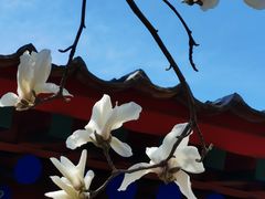 -红螺寺