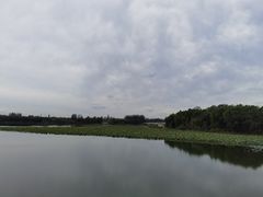 -大兴滨河森林公园