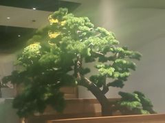 -寿州大饭店·餐厅