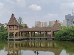 -成都南湖公园