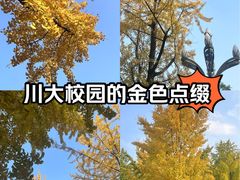 -四川大学(望江校区)