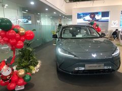 -北汽鹏龙ARCFOX极狐(国贸店)