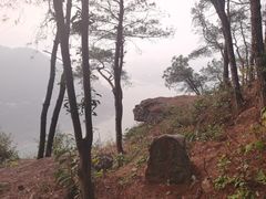 -铁山坪森林公园