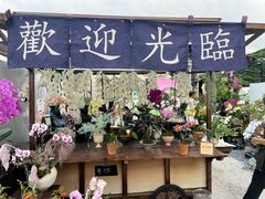 -顺峰山公园