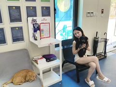 -佩兹宠物医院肿瘤专科·眼科·牙科(黄浦店)