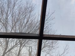 -VOYAGE COFFEE(北锣鼓巷店)