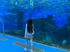 -哈尔滨波塞冬海底世界