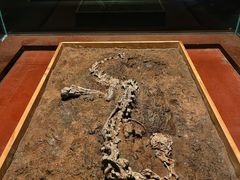 -世界恐龙谷景区