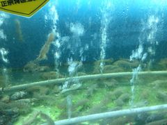 -赶海部落海鲜城(海阳路店)