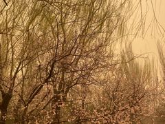 -元大都城垣遗址公园