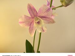 -本無咖啡·BeanWood Coffee