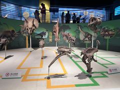 -国家自然博物馆