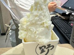 -野人先生现做冰淇淋(西安赛格店)